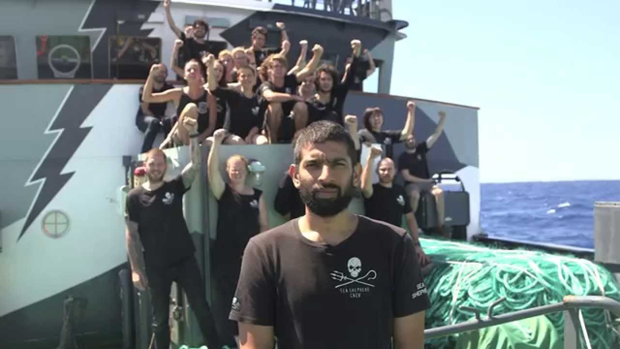 Strong Hearts, Iron Will – Sam Simon Crew Pays Tribute to the Late Sam Simon