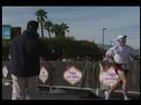 2007 Las Vegas Marathon Recap