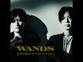 世界が終るまでは... & 愛を叫びたい / WANDS(第5期)