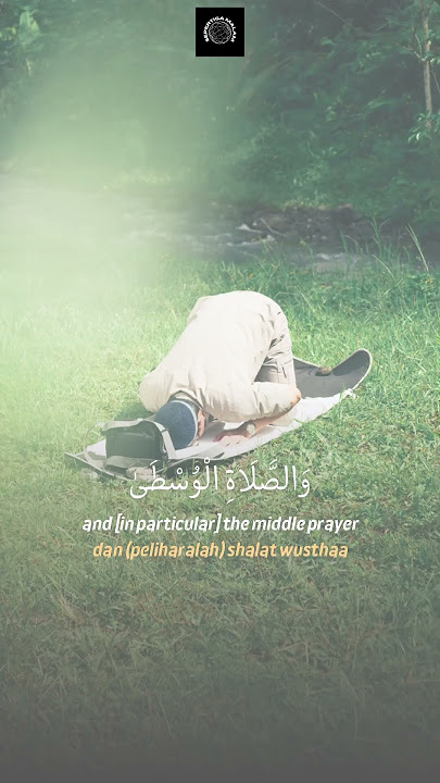 Surah Al-Baqarah : 238                 #alquran #murottal #ngajiyuk #quran #quranrecitation #fypシ