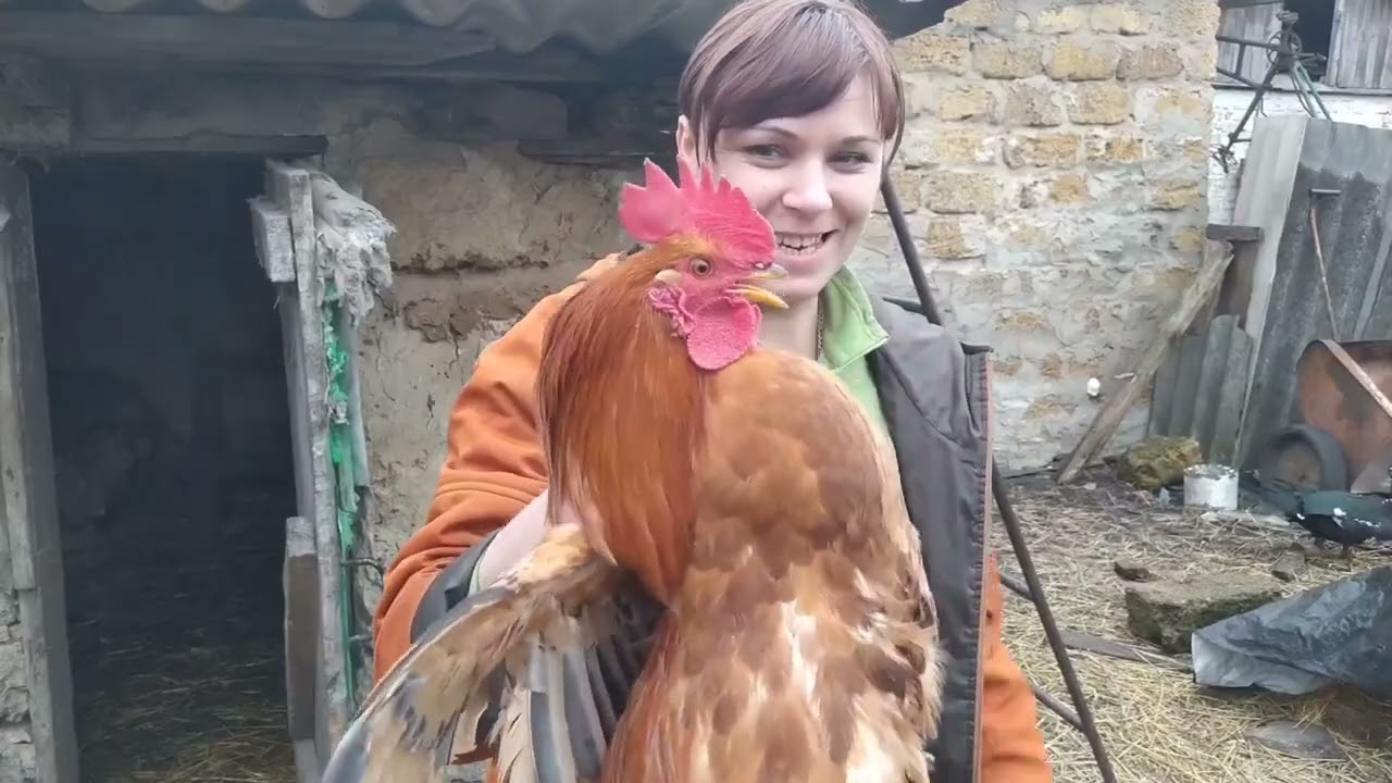 Рубаю качок курей і битонірую архів