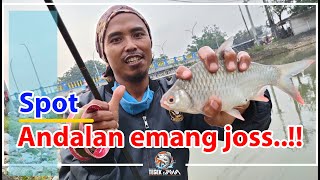 spot ikan tawes | spot mancing ikan tawes sungai | spot ikan yang ga abis-abis