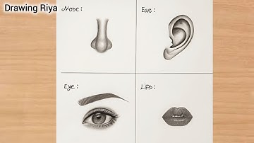 How to draw Lips, Eye, Nose and Ear | Drawing Tutorial | pencil drawing