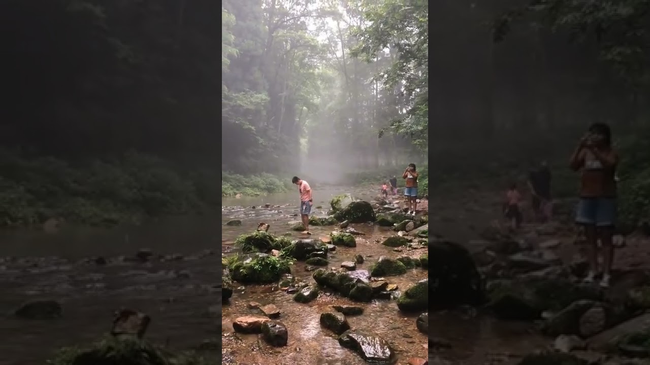 Listen & Sleep Immediately with Natural Sounds 