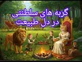 یه روز شاد و سلطنتی با گربه های اشرافی در دل طبیعت 