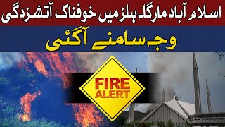 Devastating Fire Ravages Margalla Hills in Islamabad