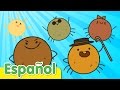 La araa pequeita  canciones infantiles  super simple espaol