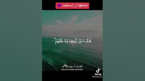 اية الكرسي القارئ شریف مصطفی