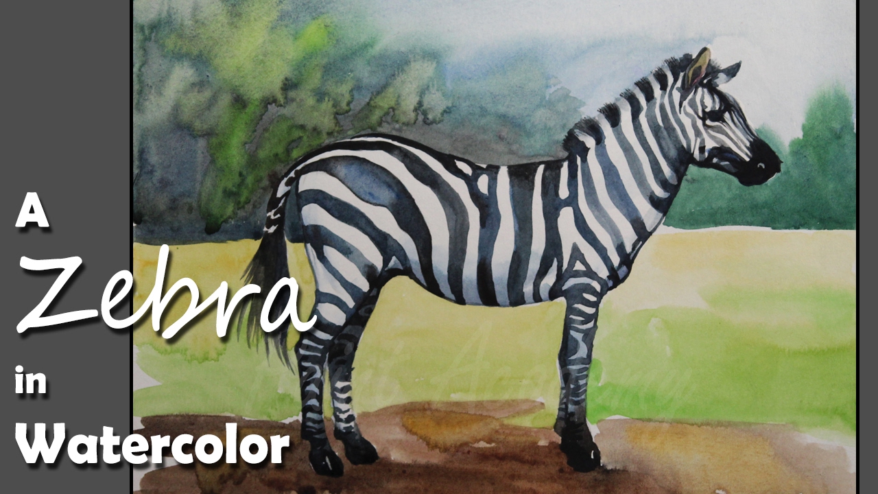 How To Paint A Zebra In Watercolor YouTube How To Paint A Zebra In Watercolor YouTube