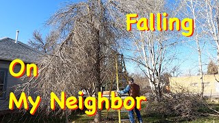 Tree Just Missed My Neighbor&#39;s House | Engels Coach Shop