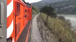 1438 between Ermida and Rede, Portugal 130223