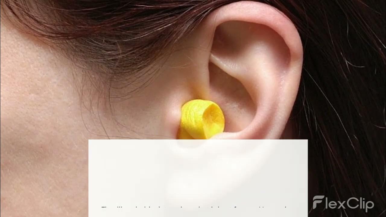 How to Choose the Best Ear plugs for Sale? YouTube