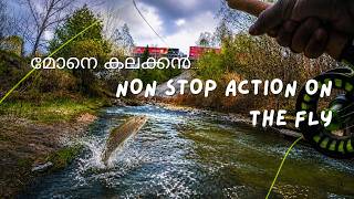 Trout fishing | Fly fishing | Non Stop Action | Canada | Malayalam