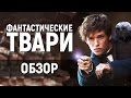 ФАНТАСТИЧЕСКИЕ ТВАРИ - ЛУЧШЕЕ ФЭНТЕЗИ 2016? (обзор фильма)