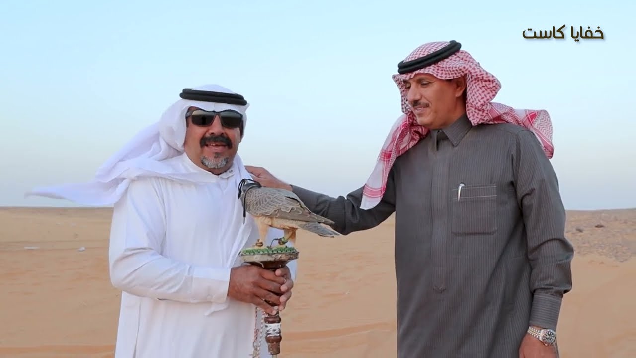 خفايا كاست | أسرار الصقور