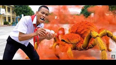 Tập Dài 1: Capybara & Hùng Trọc – Tổng Hợp Tất Cả Các Tập Hài Dễ Thương Nhất!