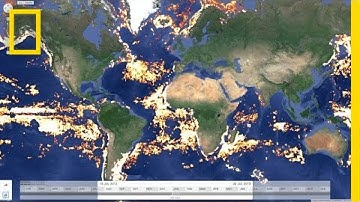 Tracking Illegal Fishing—From Space | National Geographic
