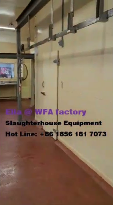 #WFA Modern Killer Cows Abattoir Meat Processing Line Plant Factory For Beef Cattle Slaughterhouse#