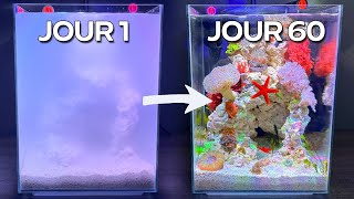 La construction d'une tranche de l'océan, la construction d'un aquarium Nano Reef