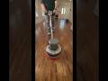 Hardwood Floor Clean &amp; Polishing in Dallas' historical M Streets Neighborhood