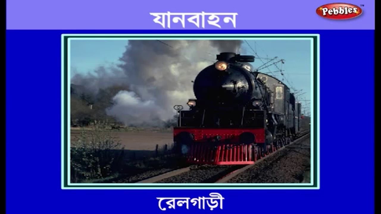 Learn Vehicles in Bengali Learn Bengali Learn Bengali For Beginners