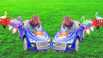 Baby Monkey Ben Ben in the truck helps duckling So cute