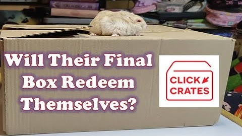 The Final (for now) Classic Click Crate August 2024 - Did They Redeem Themselves?