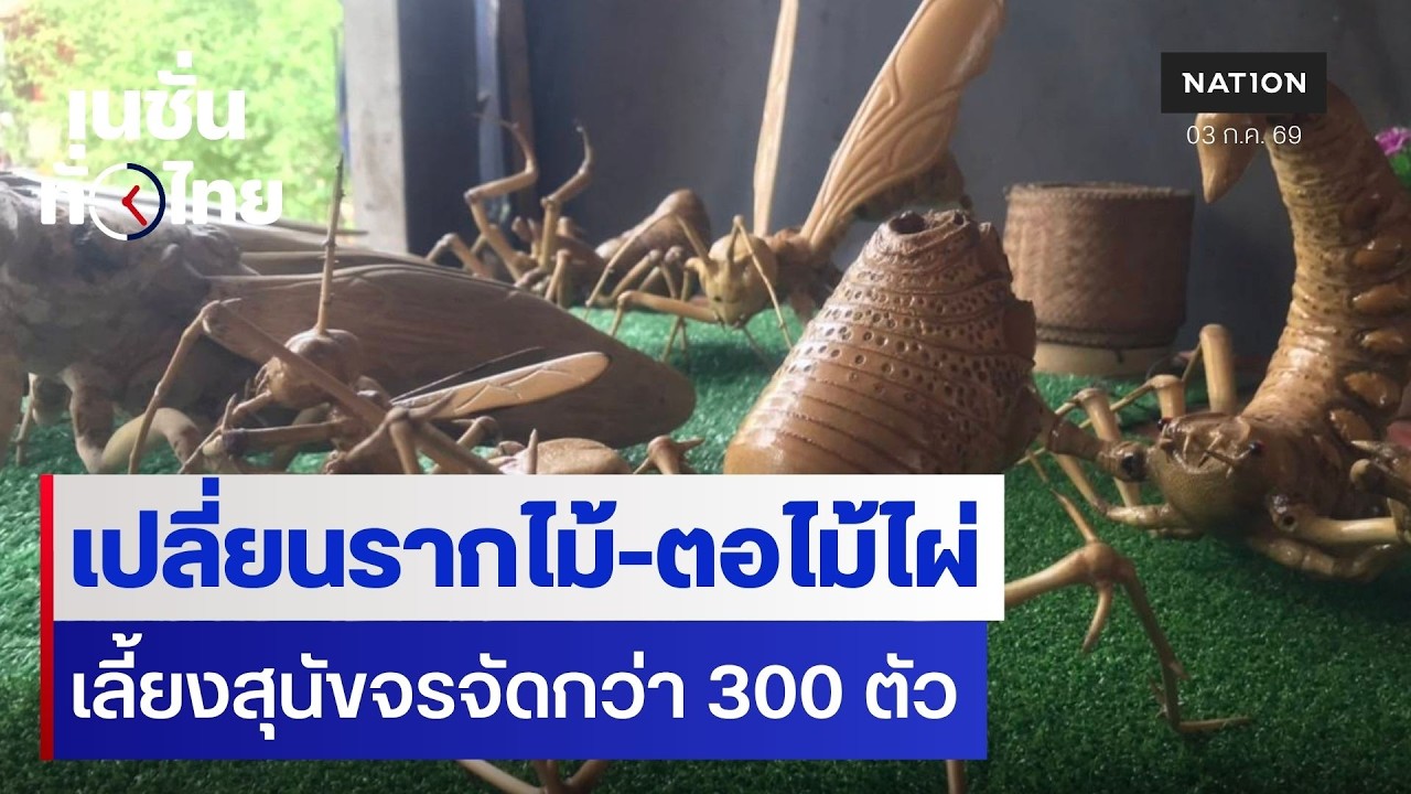 เปลี่ยนรากไม้-ตอไม้ไผ่ สร้างงานศิลป์ | เนชั่นทั่วไทย