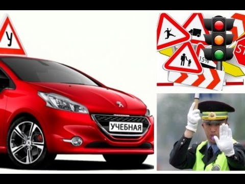 Стоимость обучения в автошколе брянск