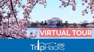 Washington DC Cherry Blossom 2022 Virtual Tour 🌸 4K Narrated