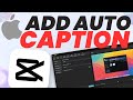 How to Add Auto Captions using CapCut (PC & Mac)