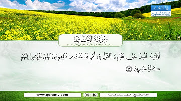 سورة الأحقاف | تلاوة مباركة من الآية 15 إلى الآية 28 | بصوت القارئ الشيخ أحمد سيد هاشم