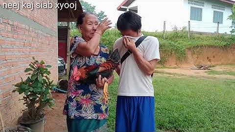 kuv tus niam tsev wb muab ib tug laus qaib pub rau tus niam tai