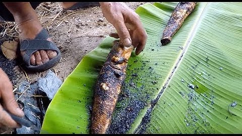Cao thủ bắt cá Lóc, cá Trê bằng tay thui rơm - Noodling Snakehead Grilled straw