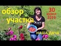 Наша дача. Обзор участка на конец июня 2019 г.