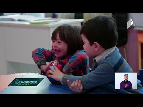 პროექტი „დედის დღიური“