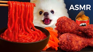 ASMR Mukbang | Yue the Pomeranian Eating Red Noodles and Crispy Fried Chicken