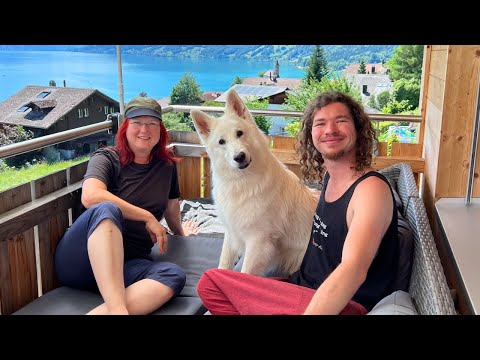 Video: Verv alt berger blanc suisse?