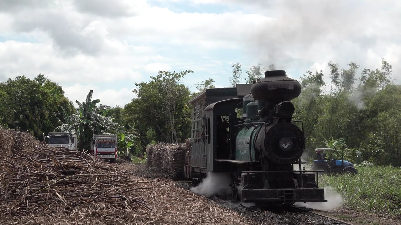 Steam of Hawaiian Philippine Co, Philippines (Feb..2026) 2、 フィリピン　ハワイアン・フィリピン工場の蒸気機関車（2026年2月）2