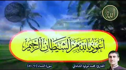 القارىء محمد مولود الشاماني سورة النساء من الآيه ٦٠ إلى الآيه ٨١