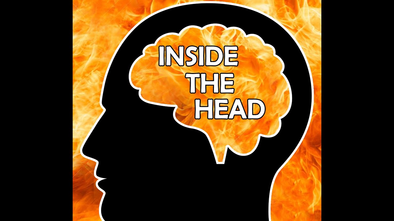 INSIDE THE HEAD