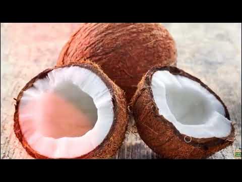 МЯКОТЬ КОКОСА | можно ли есть кожуру кокоса, что делать с кокосом, как ...