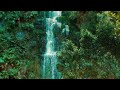 Milton Nascimento, esperanza spalding - Interlude for Saci (Official Audio)