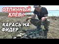 КРУПНЫЙ КАРАСЬ на ФИДЕР. Рыбалка С НОЧЕВКОЙ в палатке на БЕРЕГУ ОЗЕРА 2021.