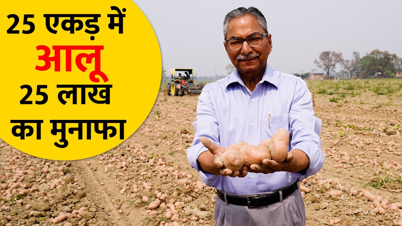 खास किस्म का आलू, 50 सालों से इस किसान को नहीं हुआ नुकसान। #gaonjunctionlive