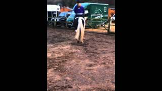 Mojo-flat work