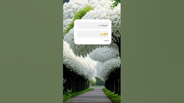 ما تيسر من سورة القصص بصوت ياسر الدوسري #قران #ياسر_الدوسري #تلاوة_خاشعة