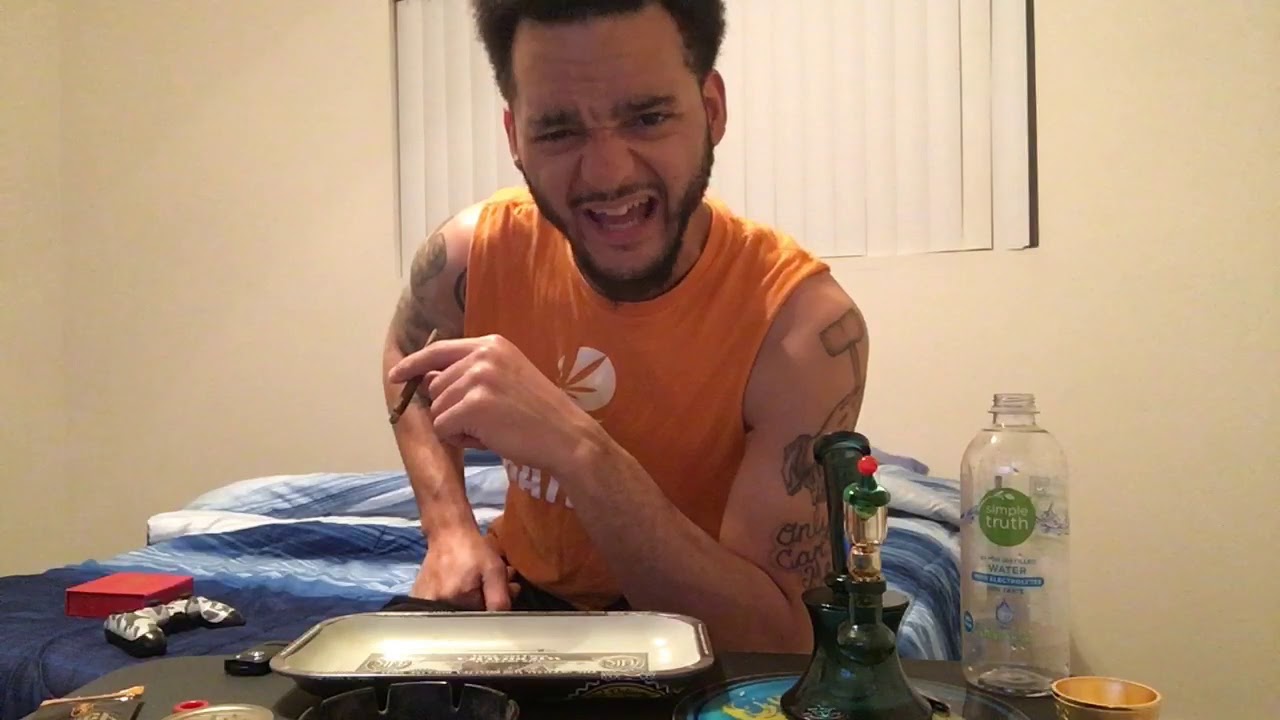 Gas Or Trash “DogWalker” 1st Official Strain Review