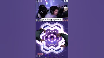 Precise Gunplay 💀