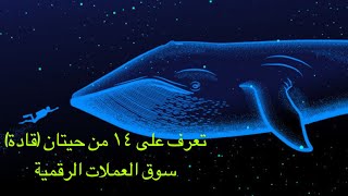 تعرف على أكبر 14 حوت من حيتان العملات الرقمية ?? cryptocurrency